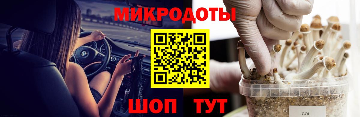 Тулун  Галлюциногенные грибы Magic Shrooms  Вход с VPN 